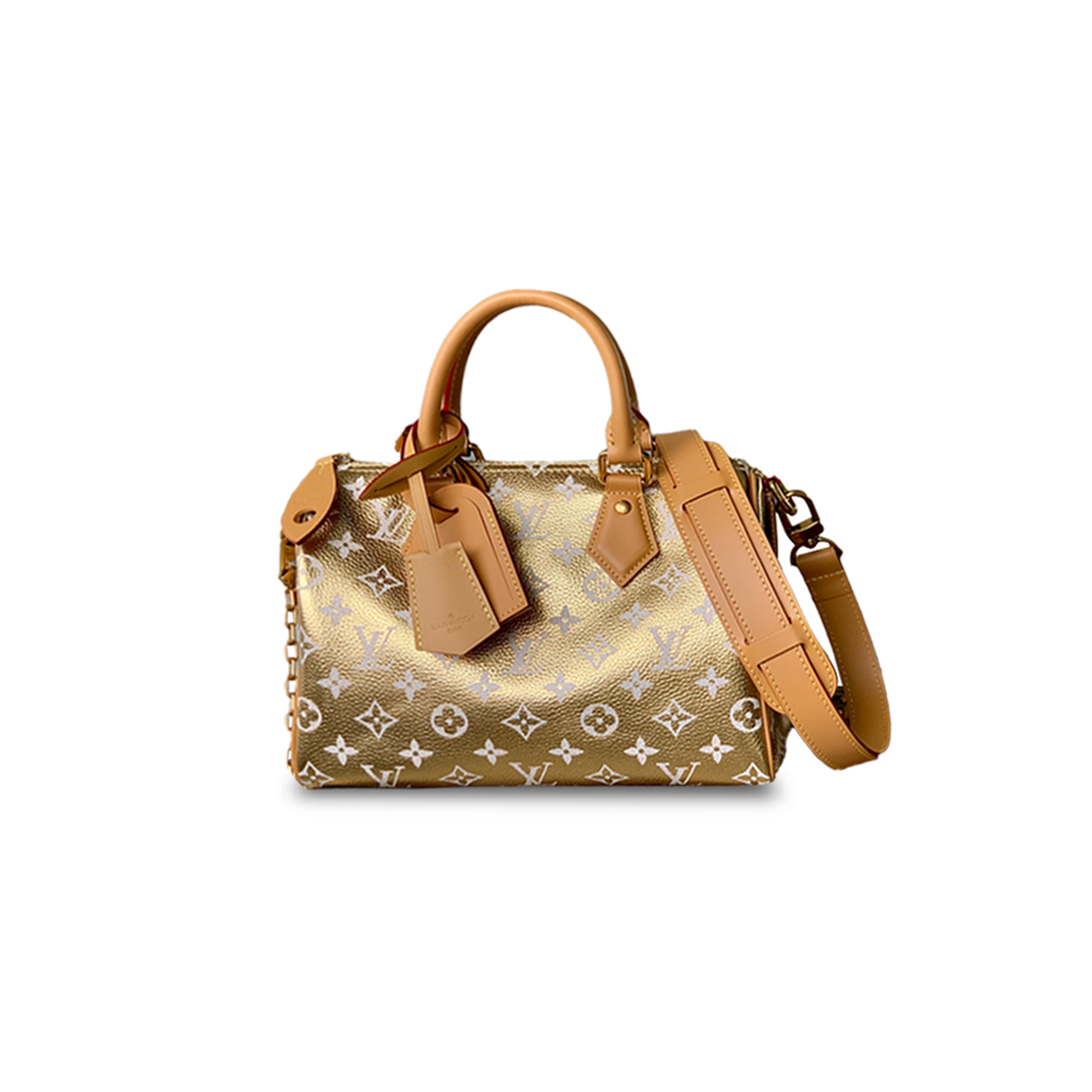 LOUIS VUITTON SPEEDY P9 BANDOULIÈRE 25 M24443 (25*15*15cm) 